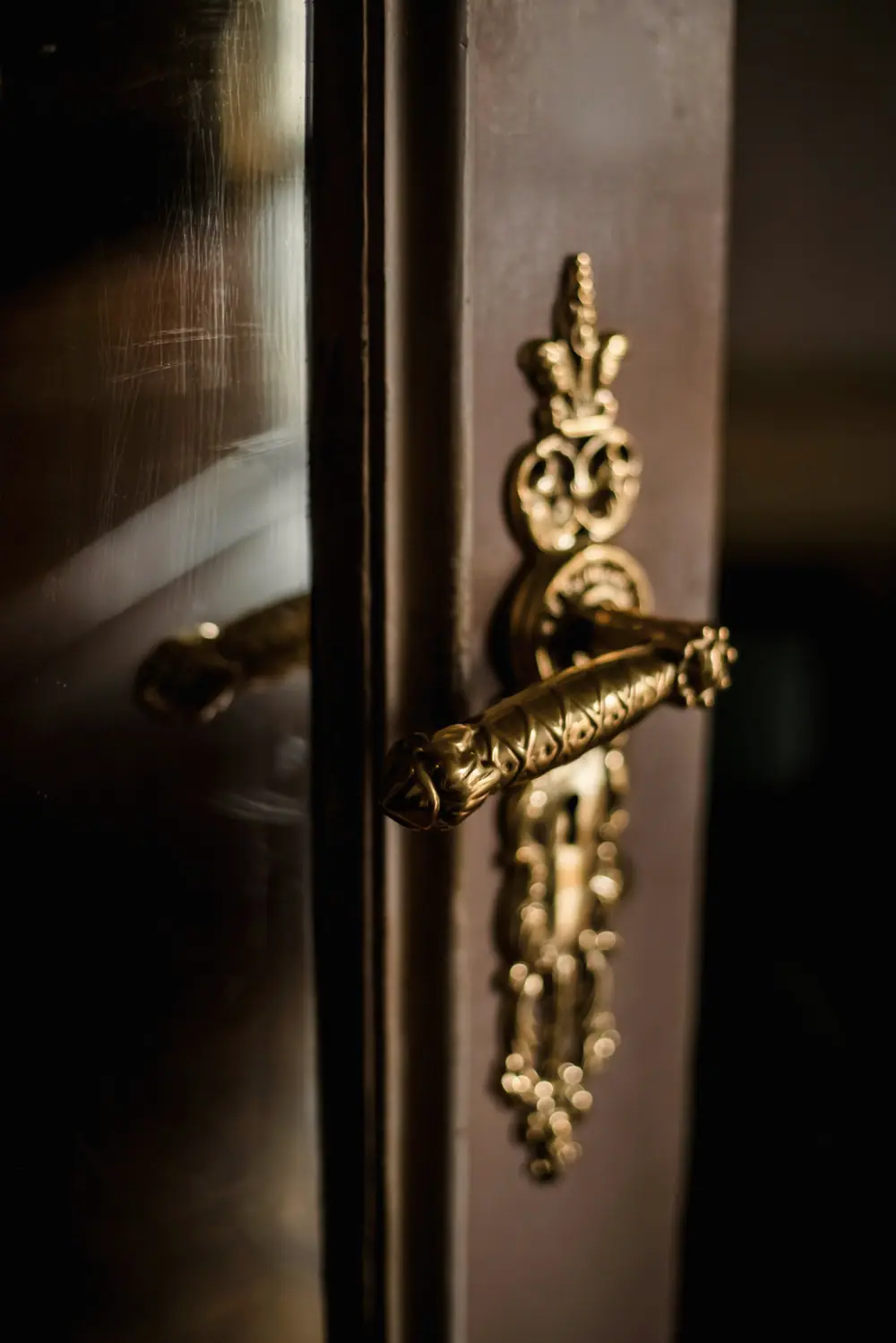 Brass lever handle on a long backplate