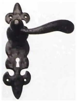 Lever lock, item SE-25019, powder coated