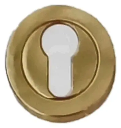 Euro escutcheon concealed, item SE-7006, brass polished lacquered